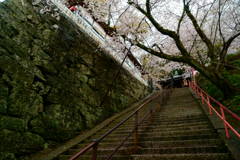 紀三井寺231段の階段