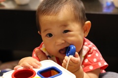 かじかじ
