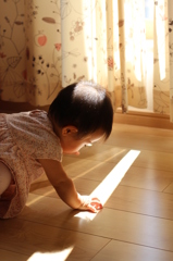 不思議な光