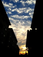 evening
