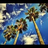 summer image