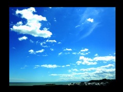 blue & blue