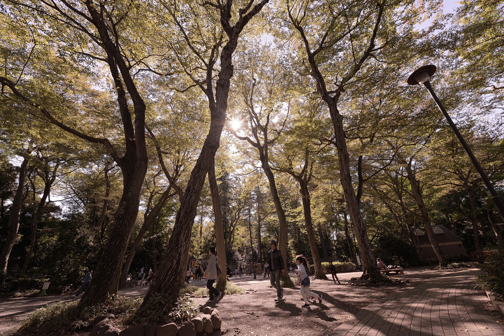 井の頭動物園＜秋＞