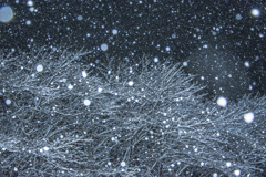 夜雪