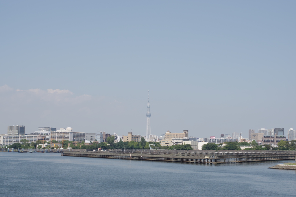 視線の先にあるもの
