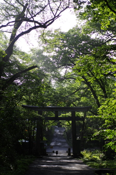 心惹かれて