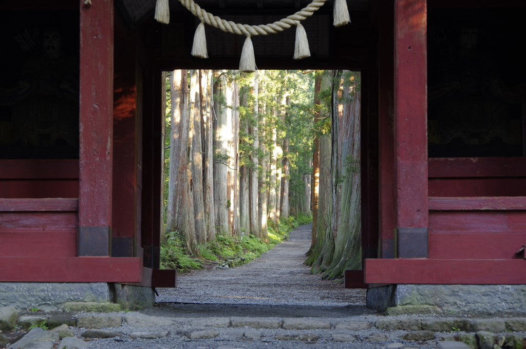 門