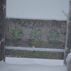 雪の日