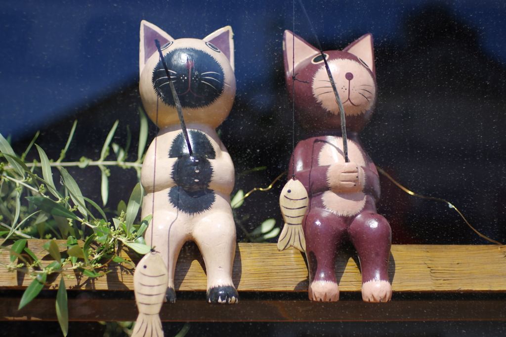 釣り猫