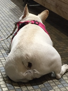 微笑ましくて