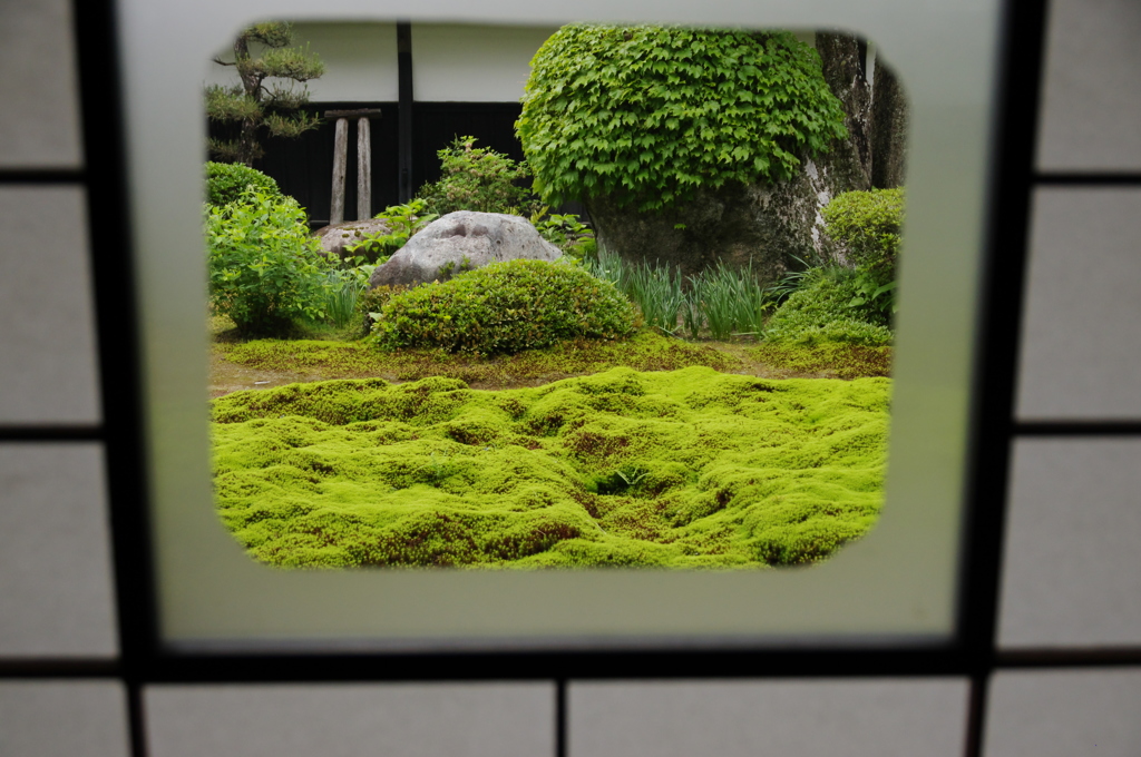 苔庭