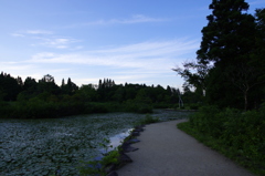 夕暮れ散歩