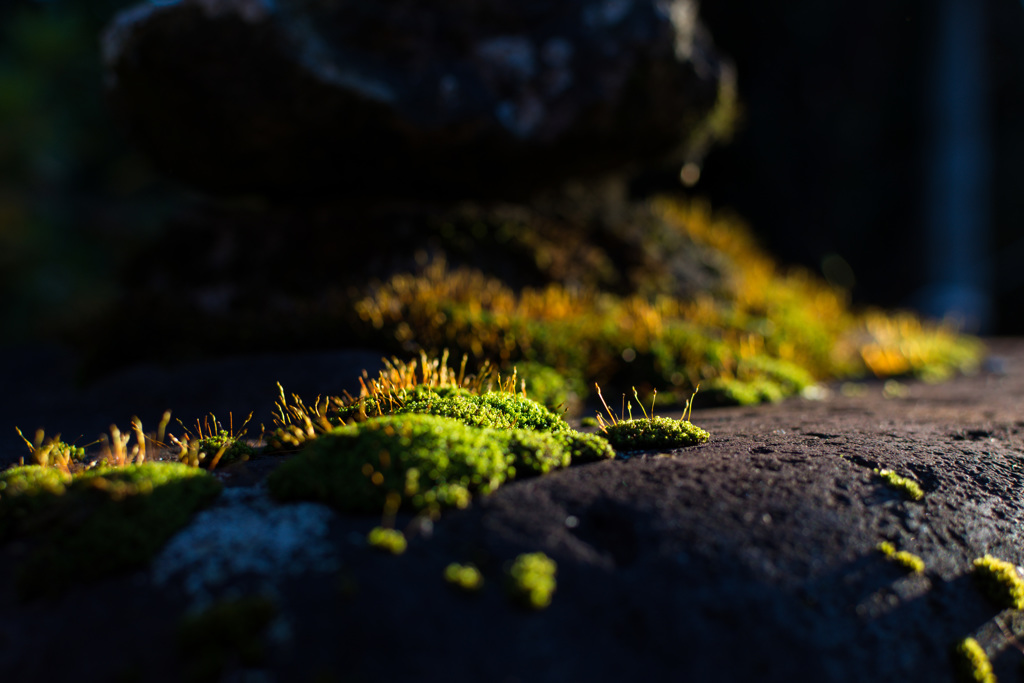 D72_3823