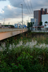 D72_1075