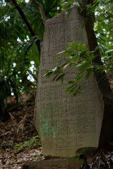 D72_0515