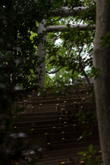 D72_0520
