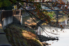 D72_1705