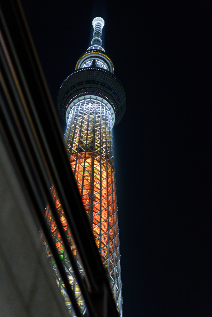 D72_2011