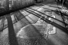 DSC_8594V2