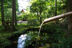 -Kyoto Ohara Sanzenin2-