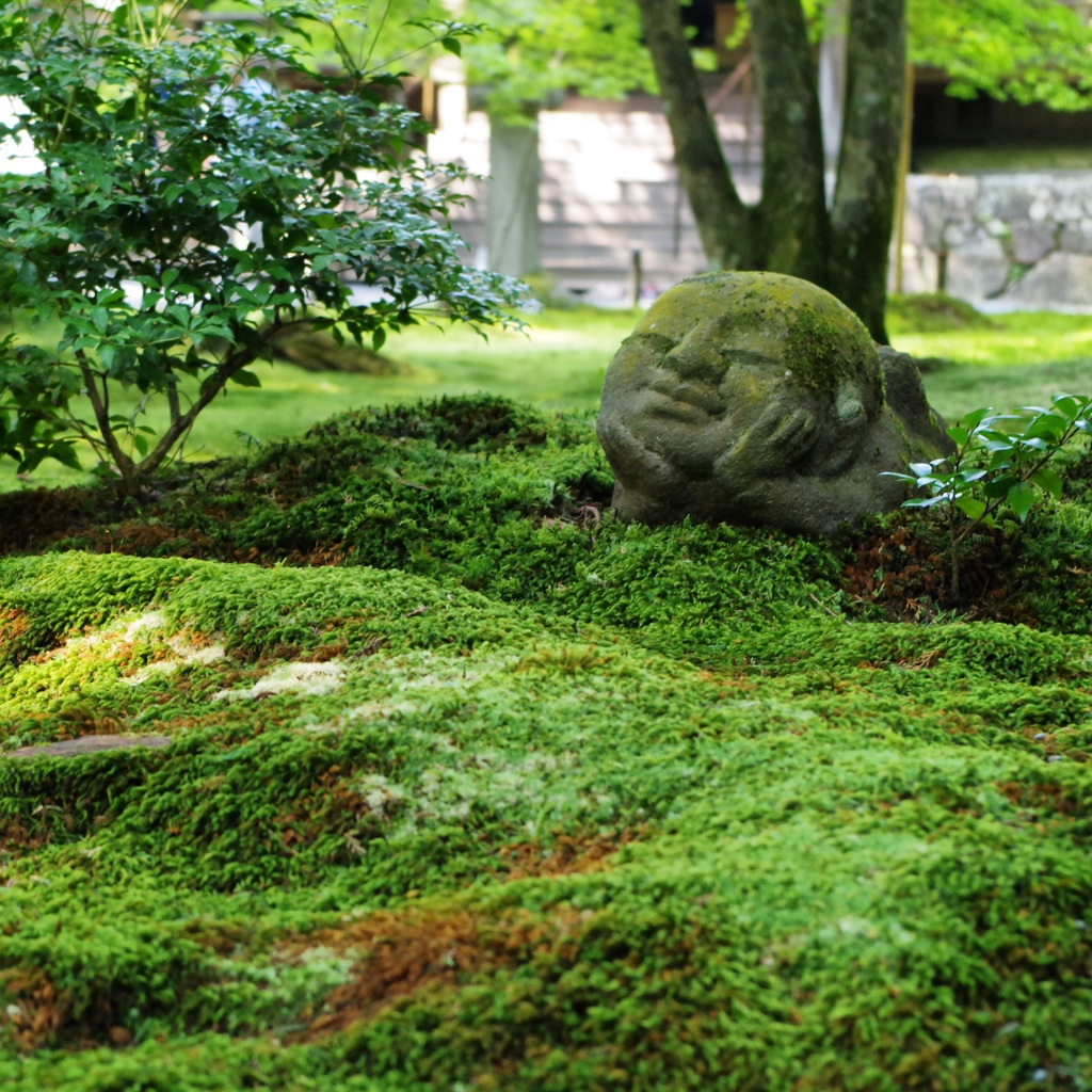 -Kyoto Ohara Sanzenin-