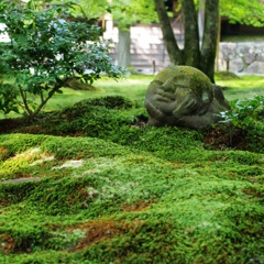 -Kyoto Ohara Sanzenin-