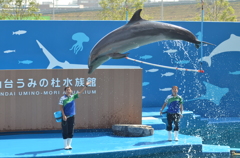 はいっ！