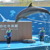 はいっ！
