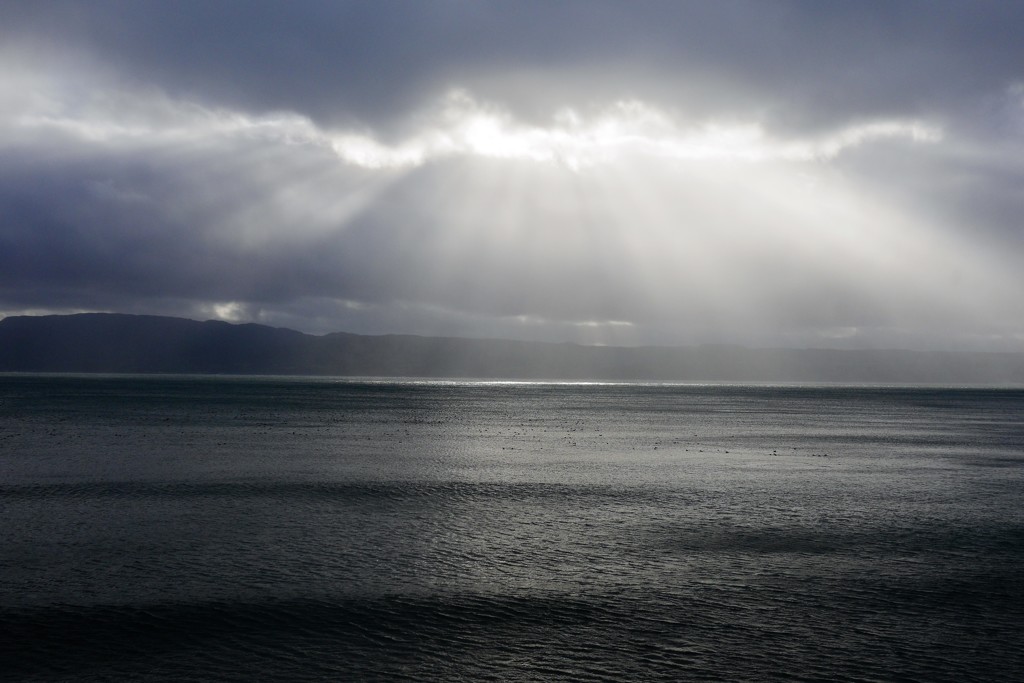 忘れ去られた入江