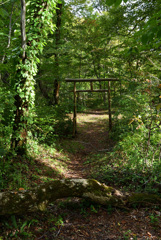山中の鳥居