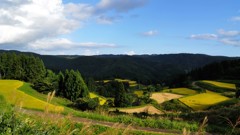 場所が思い出せない