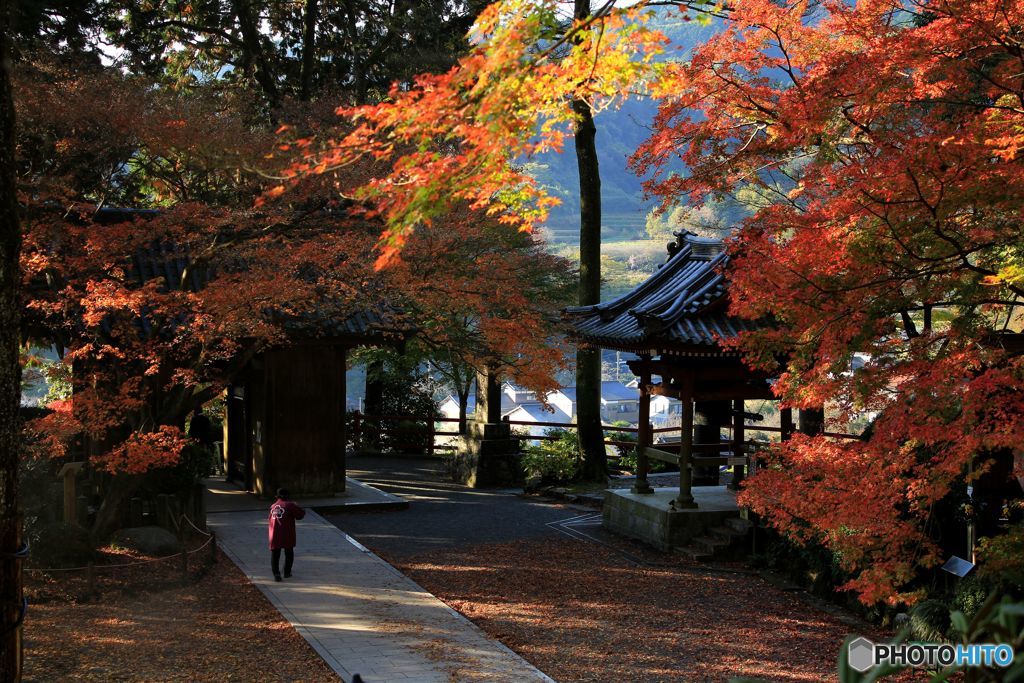 大興善寺　晩秋