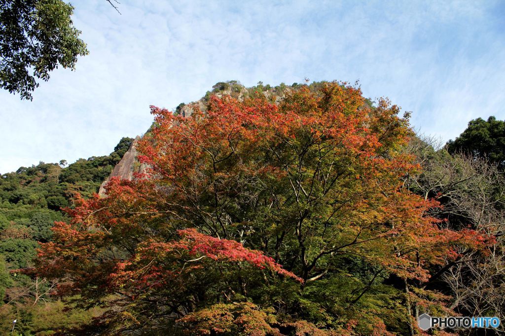 御船山公園にて
