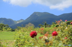 九重連山を望む