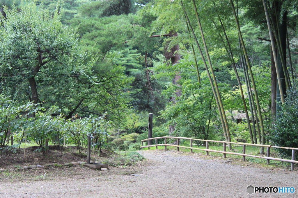 須賀川牡丹園