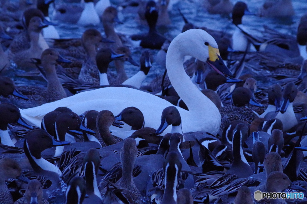 みんな仲良くね