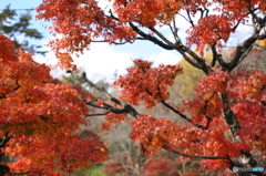 霞ヶ城公園