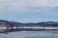 冬の羽鳥湖