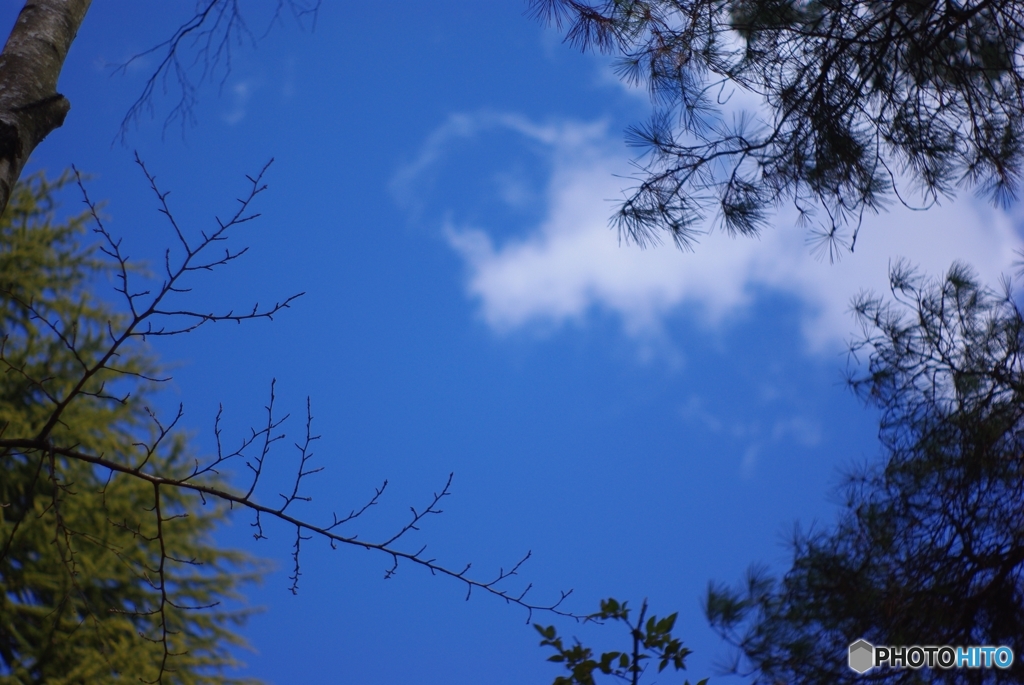 久しぶりに見せた青空
