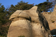 きのこ岩