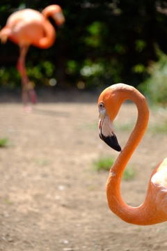 IMG_2010