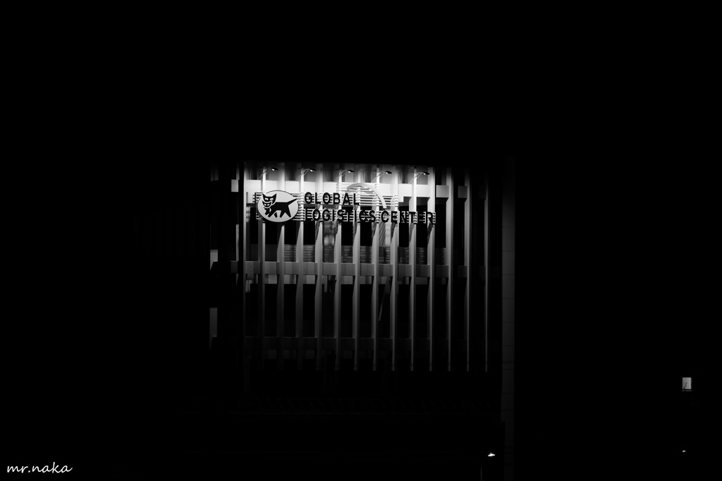 黒猫