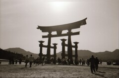 厳島神社の大鳥居