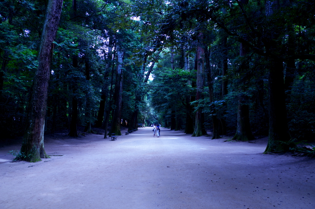 鹿島神宮奥参道