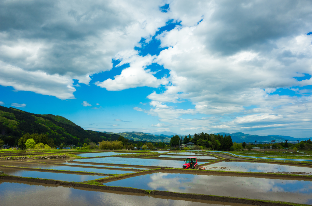 田植えの準備