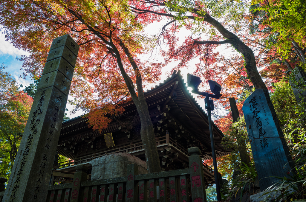 高尾山薬王院での紅葉