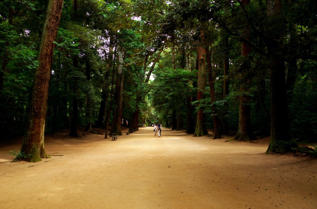 鹿島神宮奥参道