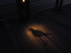 神戸みなとまち