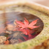 古い写真