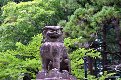 狛犬